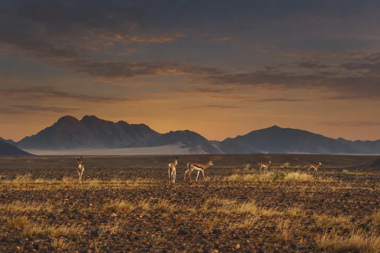 A Southern African travel landscape