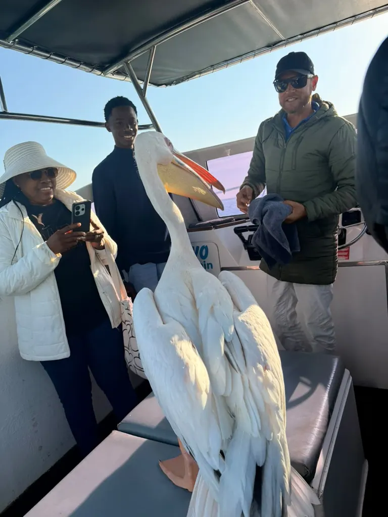 Irene and fellow travellers aboard a boat, with a pelican nearby and the Atlantic behind them