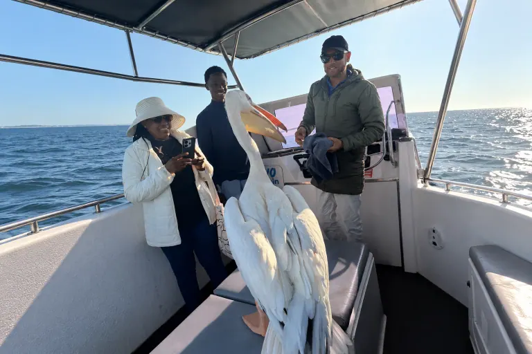 Extended photographic background
